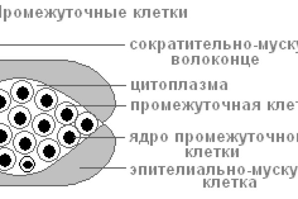 Действующая ссылка на кракен