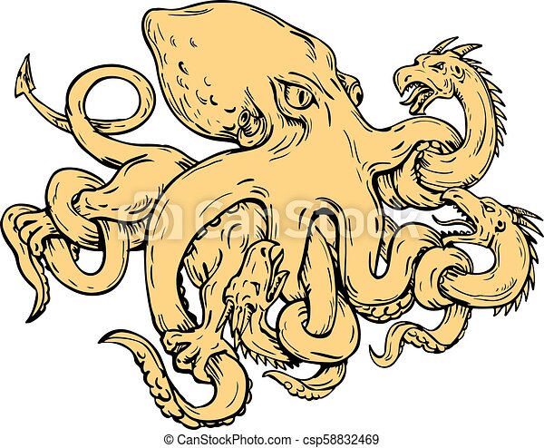 Kraken kraken link24 info